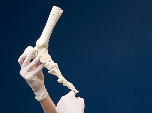 Подологія / Вирішення проблем стоп